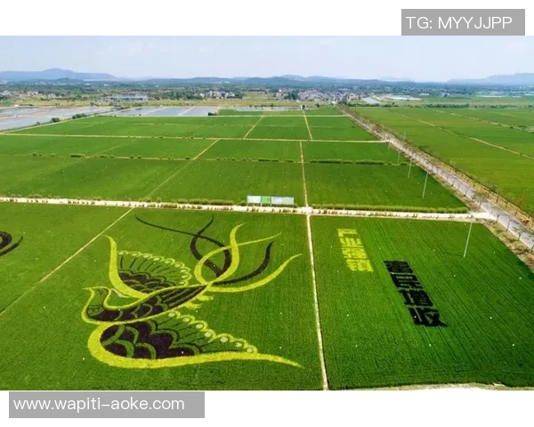 本报记者将参与42公里组！-第七届镇江南山越野赛将于12月7日开跑